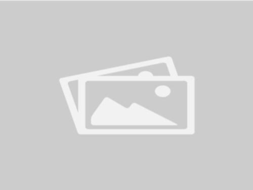 court-model-placeholder